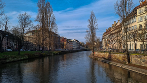 Lutte contre les nuisibles Strasbourg